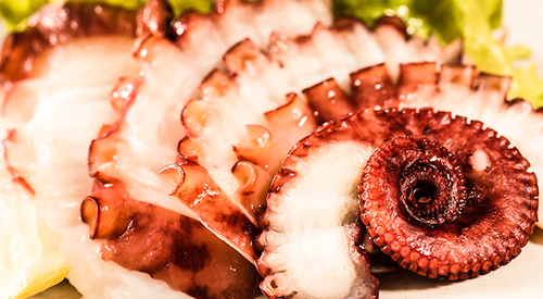 Pulpo y Calamares