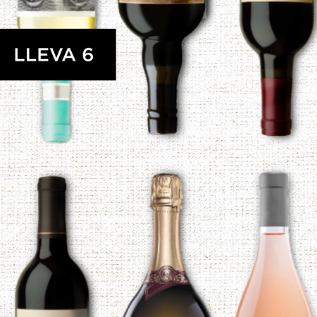 ¡Lleva 6 de tus favoritos!